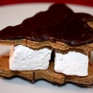 blackened salmon, potato pancakes, smores 048