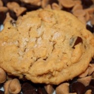 peanut-butter-chip-cookies