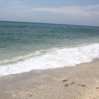 palm beach