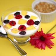 homemade yogurt recipe