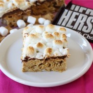 golden-graham-s'mores-bars3