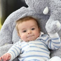 caleb-elephant