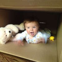 caleb-box