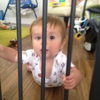 photo-6