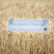 wheat-fields-gmf