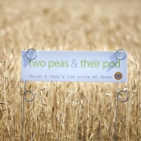 wheat-fields-gmf