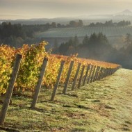 Trails To Feast Trip-Oregon