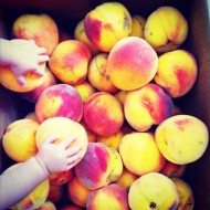 peaches