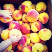 peaches