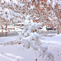 snow-november