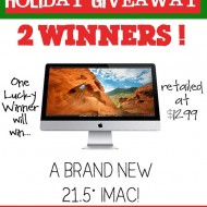 Ultimate Holiday Giveaway from 12 of the most popular bloggers! Enter to win at www.twopeasandtheirpod.com