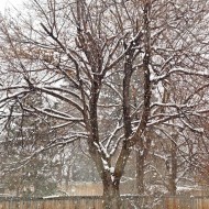 snow