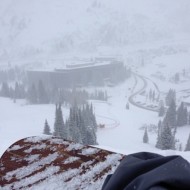 snowbird-christmas-eve