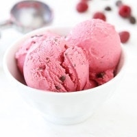Raspberry-Dark-Chocolate-Frozen-Yogurt-5