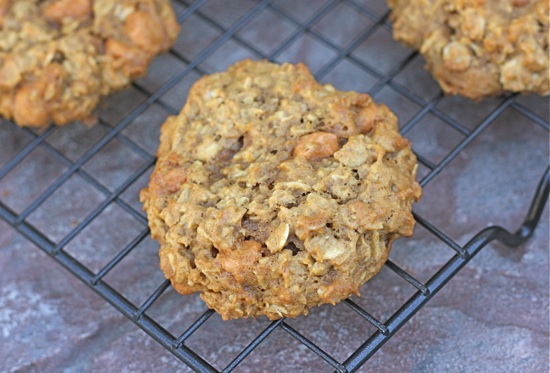 pumpkin-oatmeal-scotchies