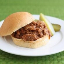 easy pulled pork slow cooker recipe