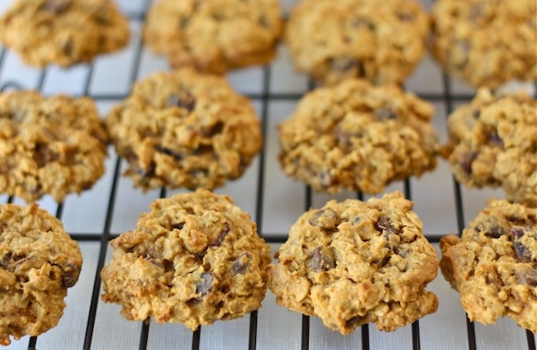 Pumpkin Oatmeal Cookie Recipe