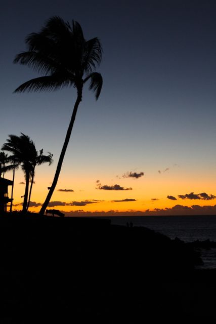 beach-dinner-four-seasons-maui2