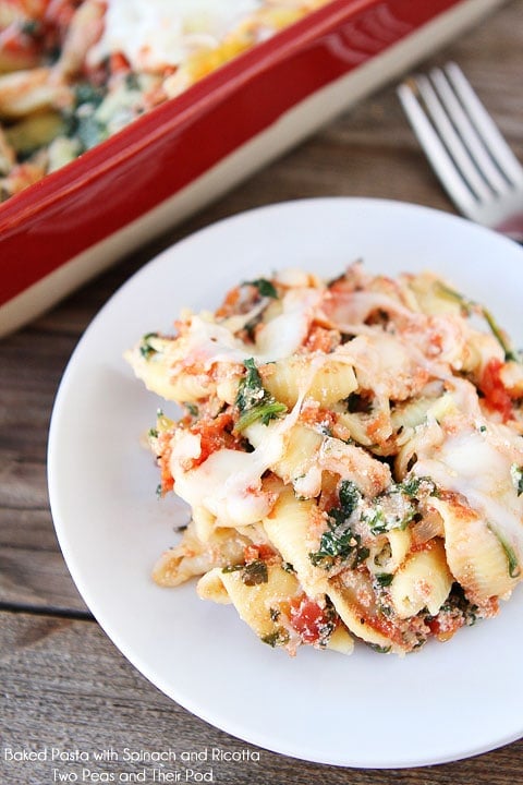 Marinara and Ricotta Spinach pasta Shells on dinner plate ready to serve