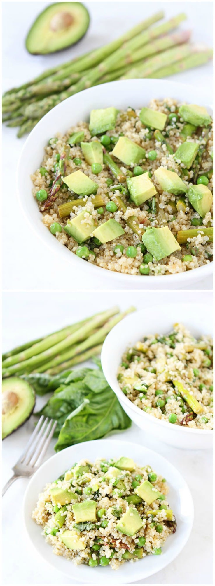 Spring Quinoa Salad Recipe on twopeasandtheirpod.com Quinoa salad with asparagus, peas, avocado, and a simple lemon basil dressing. We LOVE this healthy salad!