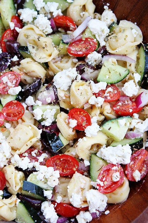 Close up of Tortellini Pasta Salad with feta, cucumber, olive and tomato