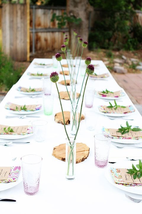 Outdoor Dinner Party Summer Entertaining