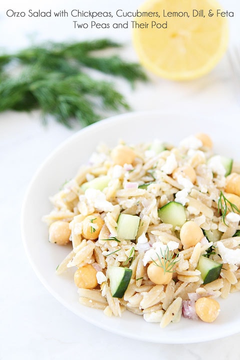 Orzo Salad with Chickpeas, Cucumbers, Lemon, Dill, & Feta | http://homemaderecipes.com/cooking-102/healthy-recipes/11-best-salad-recipes-healthy/