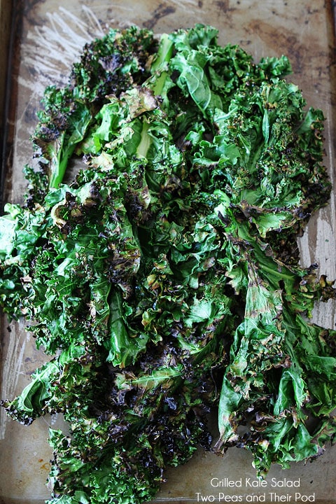 Grilled Kale Salad Recipe on twopeasandtheirpod.com Grilled kale is amazing! 