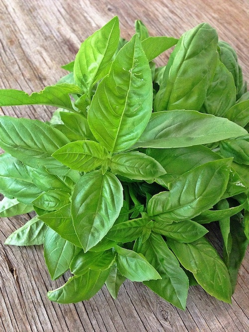 basil