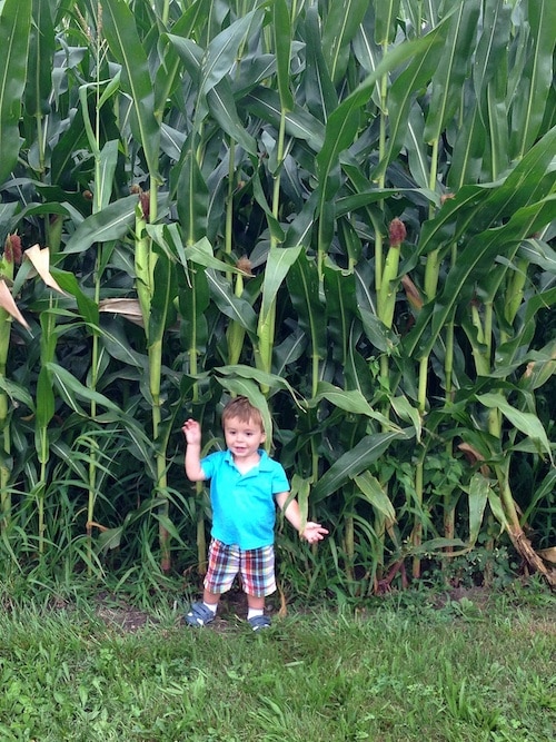 caleb-corn