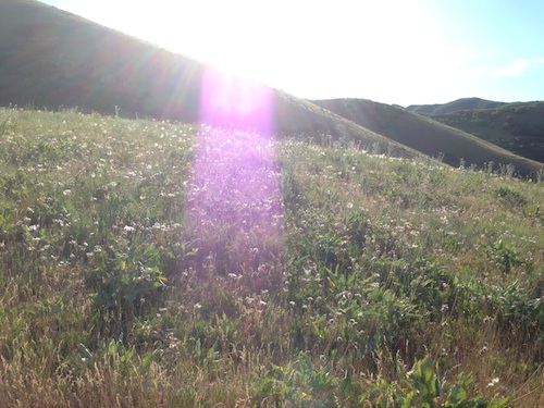 mountain-bike-ride