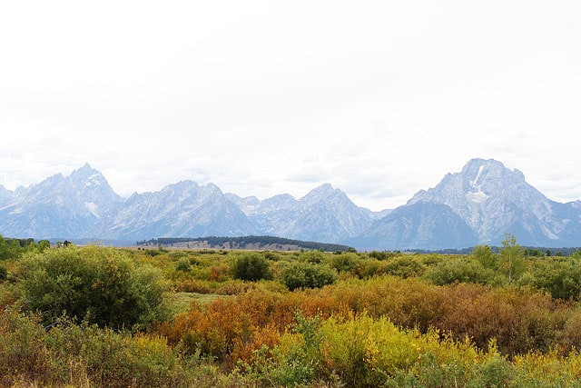 Tetons, Jackson Hole on twopeasandtheirpod.com