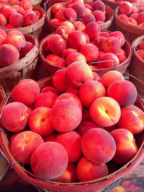 brigham-city-peaches