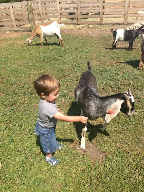 Bear Lake  Utah - 83