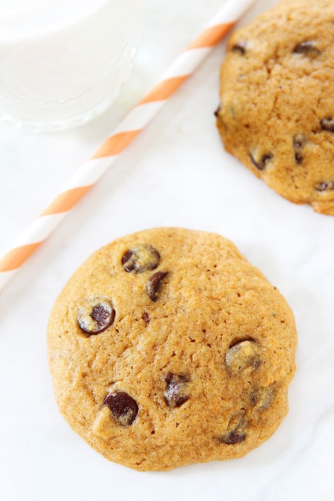 Best Pumpkin Chocolate Chip Cookies