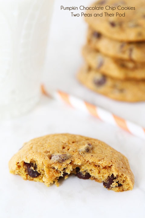Pumpkin Chocolate Chip Cookie Recipe 