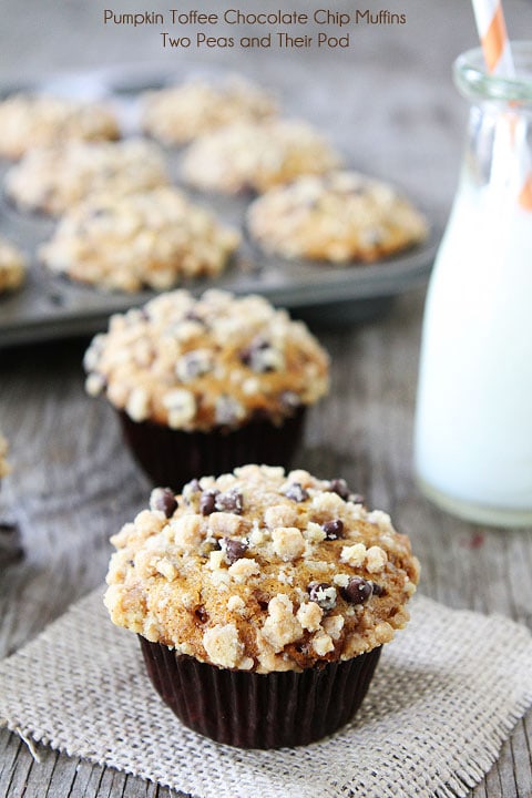 Pumpkin Toffee Chocolate Chip Muffins Recipe on twopeasandtheirpod.com I love everything about these muffins!