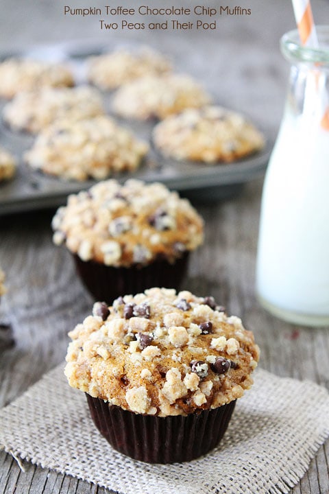 Cinnamon Cookie Butter Mini Muffins - Chez CateyLou