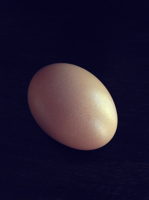 egg