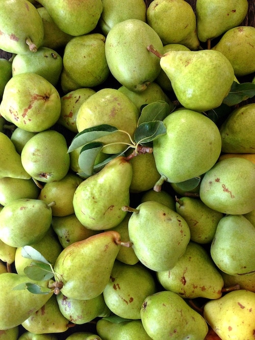 pears