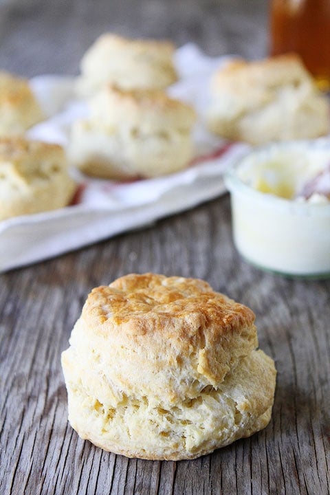 Greek Yogurt Biscuits Recipe on twopeasandtheirpod.com Fluffy and tender biscuits made with Greek Yogurt! 