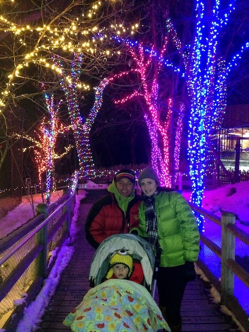 zoo-lights