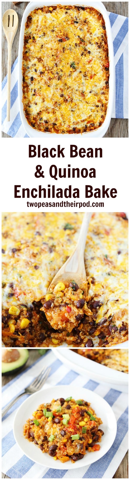 Black Bean Quinoa Enchilada Bake Black Bean Quinoa Enchilada Bake