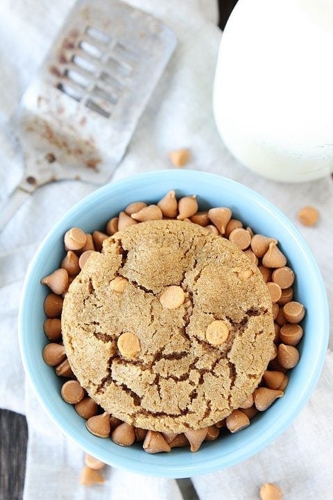 How to Store Brown Sugar  In The Kitchen With Matt