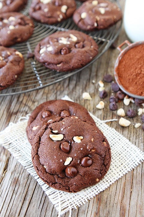 Double Chocolate Hazelnut Cookies with Sea Salt Recipe on twopeasandtheirpod.com These cookies are DIVINE! Make a batch today!