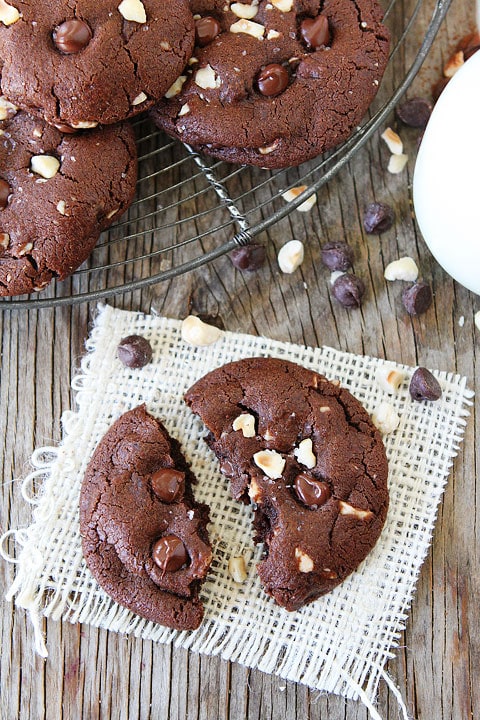 Double Chocolate Hazelnut Cookies with Sea Salt Recipe on twopeasandtheirpod.com The BEST cookies ever!