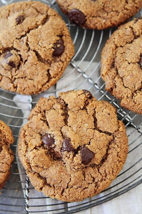 Flourless Almond Butter Chocolate Chip Cookies Recipe on twopeasandtheirpod.com These cookies are gluten-free, easy to make, and SO good! Bake a batch today! Flourless Almond Butter Chocolate Chip Cookies Recipe