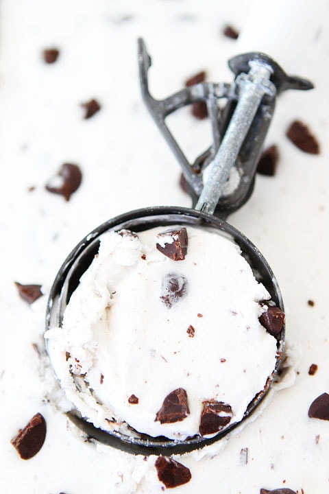 Vegan Coconut Chocolate Chunk Ice Cream Recipe on twopeasandtheirpod.com You only need 5 ingredients to make this ice cream! 