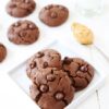 Chocolate peanut butter cookies with no flour (gluten free)