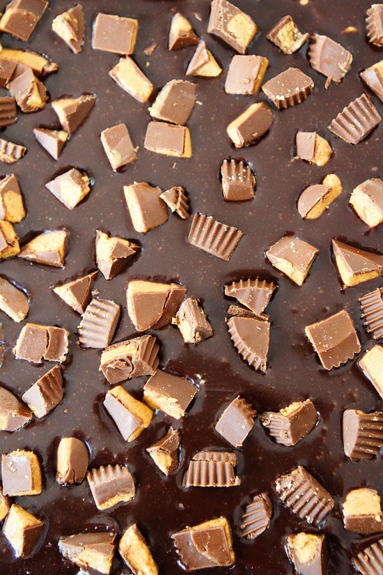 Peanut butter cups sprinkled in chocolate for peanut butter brownies
